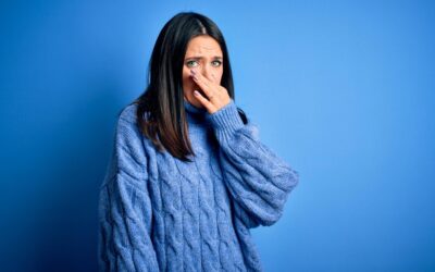 Do Air Purifiers Remove Mold Smell? The Truth About Filtration vs. Destruction