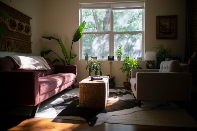 Sunlit living room with two sofas facing each other, plants on the windowsill, and a woven ottoman center.