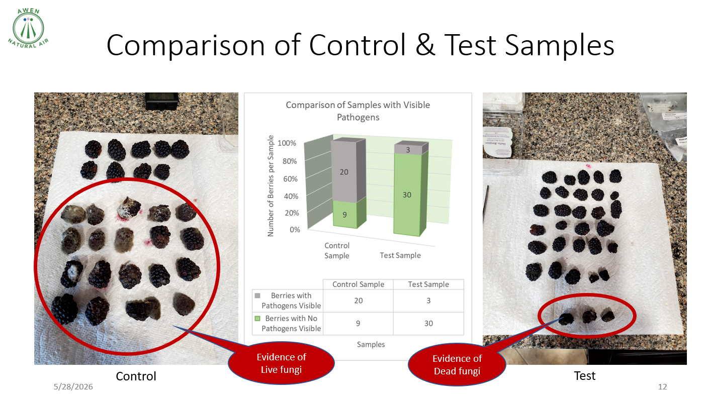 Comparison of control and test samples. Left: live fungi on towel; center: chart; right: dead fungi; red circles mark evidence.